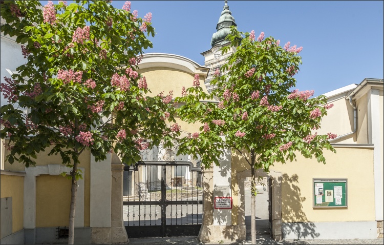 Saniertes Einfahrtstor