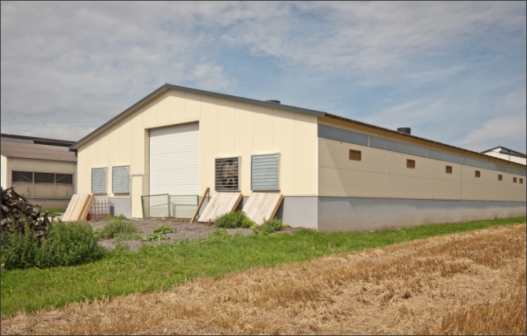 Neubau Stallgebäude